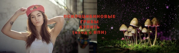 эйфоретик Вязники